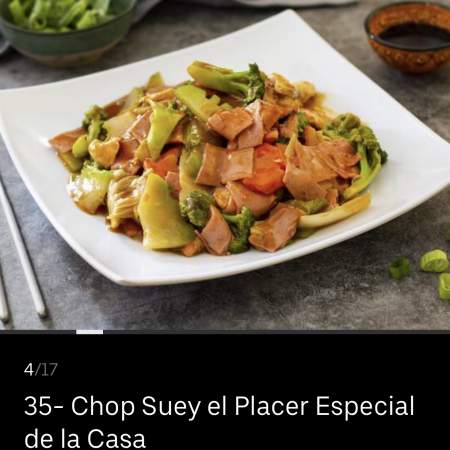 35- Chop Suey La Casa En Salsa ( medio)