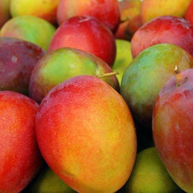 Mango Petacon