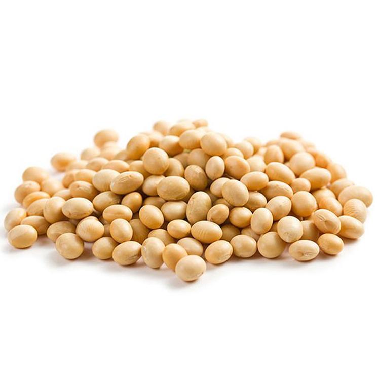 81 - Soja em Grãos (100g)