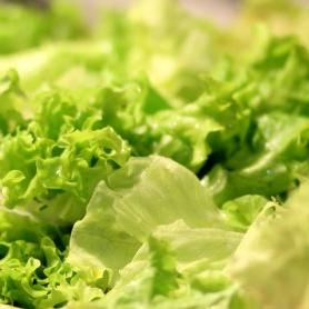 Salada Verde *