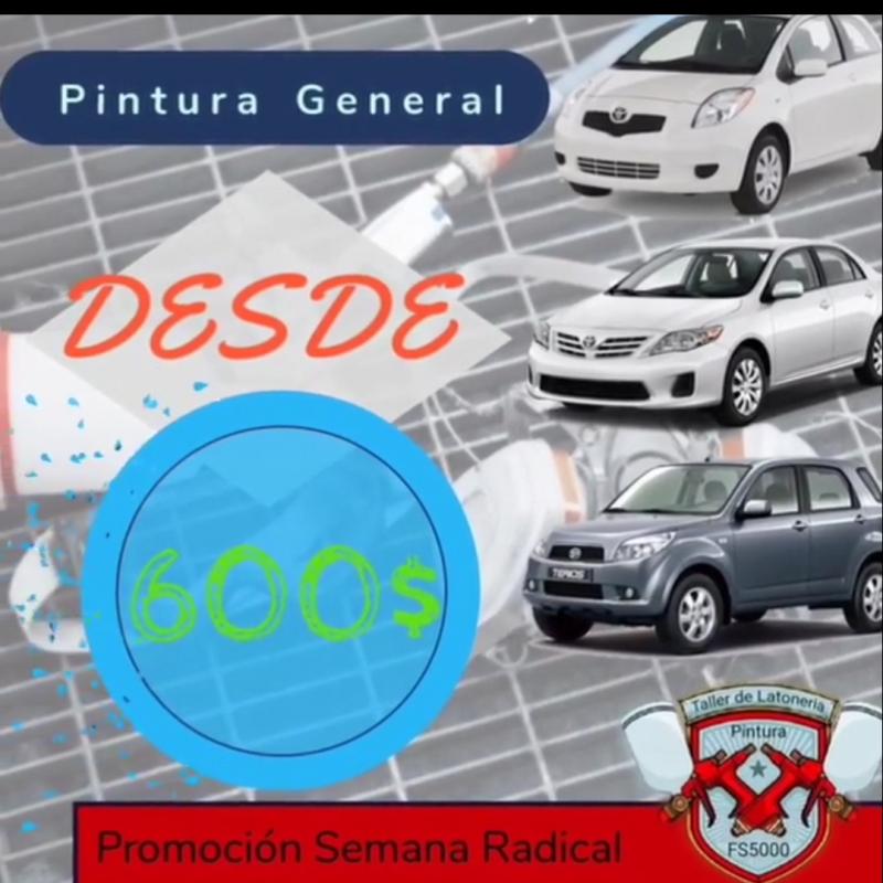 Pintura General