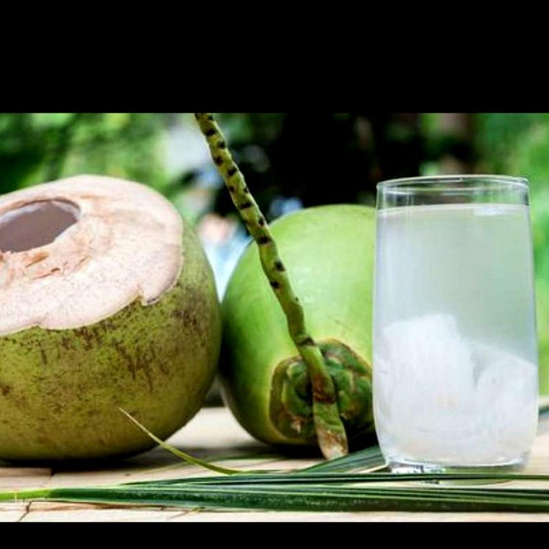 Coco Gelado
