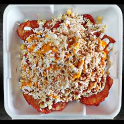 Provi con Elote