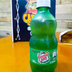 Canadá Dry 355 ml