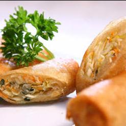 Rolinho Primavera Legumes