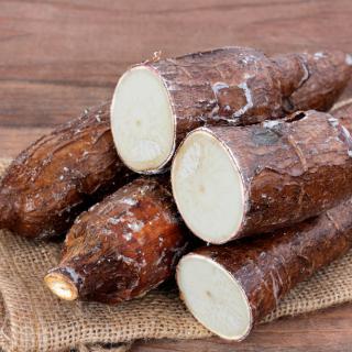 Yucas
