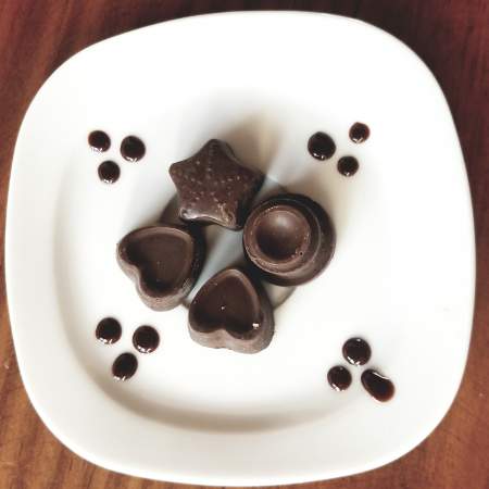 Chocolatitos