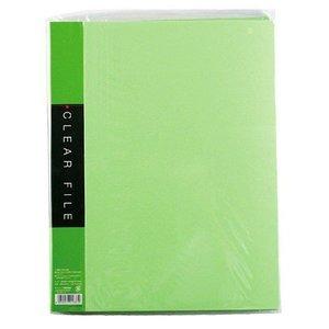 Clear File A4 20p Green
