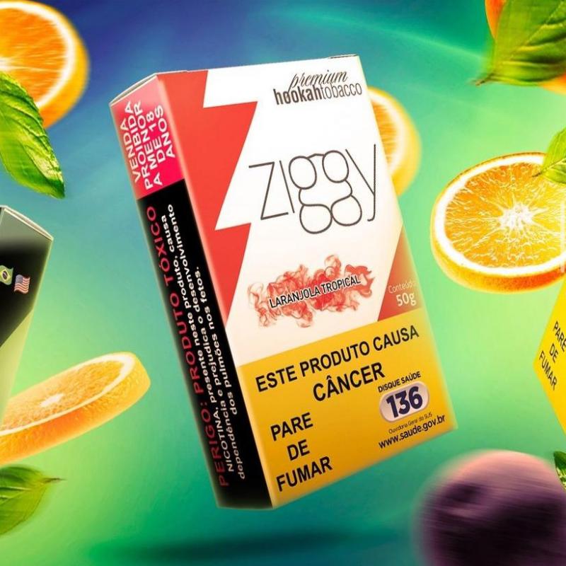 ZIGGY LARANJOLA TROPICAL