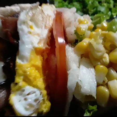 2- X SALADA SIMPLES MAIS Q ESPECIAL