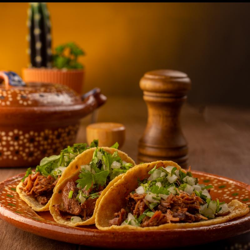 TACO DE RES