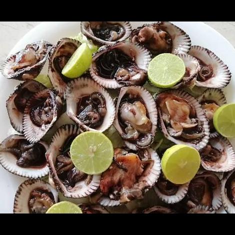 Docena de patas