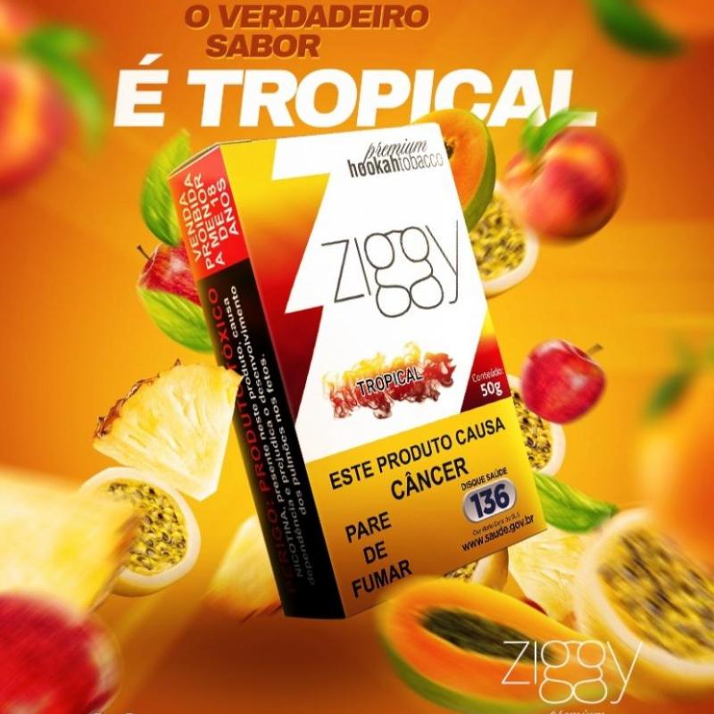 ZIGGY TROPICAL