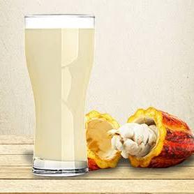 Suco de Cacau