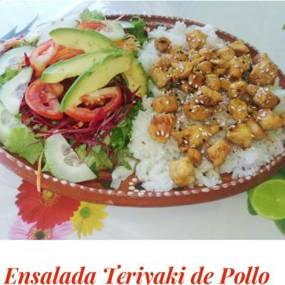 TERIYAKI DE POLLO