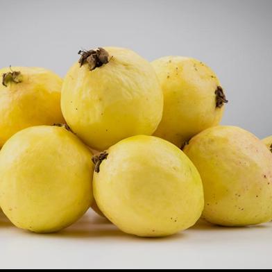 Guayaba