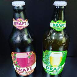 Draft