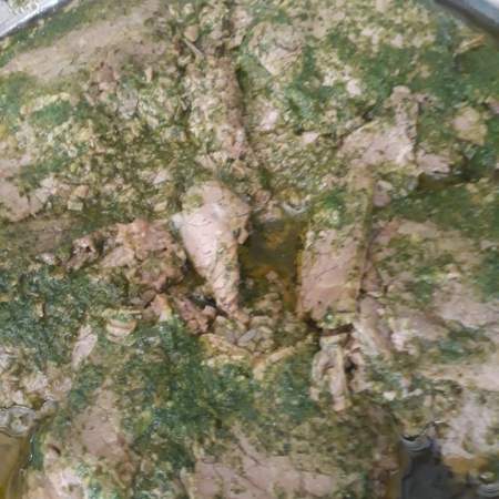 Rosbife Marinado em Ervas Verdes (250g)