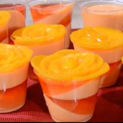 GELATINA DE YOGURT DE DURZNO