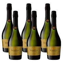 SALENTEIN EXTRA BRU1900T