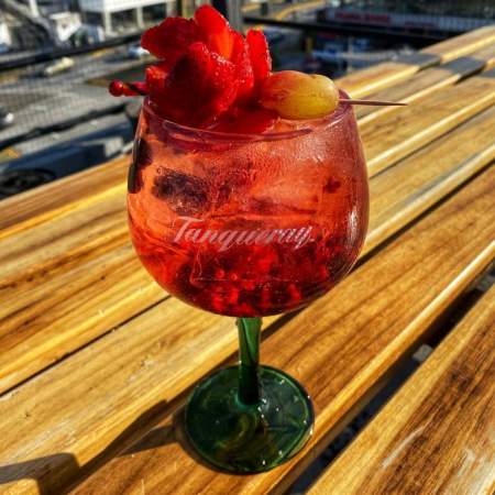 Gin Frutos Rojos
