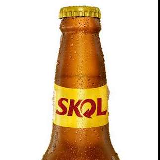 SKOL 600ML