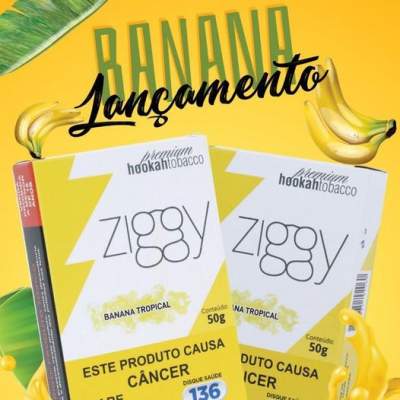 ZIGGY BANANA