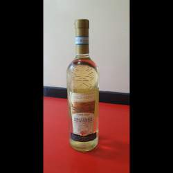 Pinot Grigio delle Tre Venezie750ml - DOC (Denominación Origen Controlada) - Origen Veneto, Trentino e Friuli Venezia Giulia (Italia)