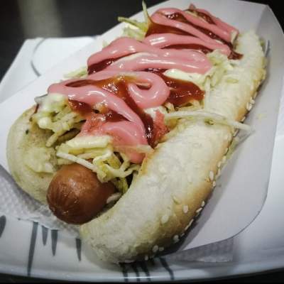 Perro sencillo zenú