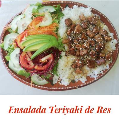 TERIYAKI DE RES