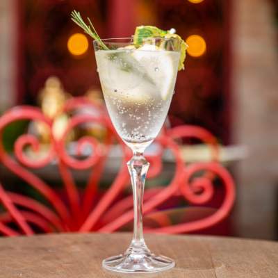 Gin Tônica Saborizada
