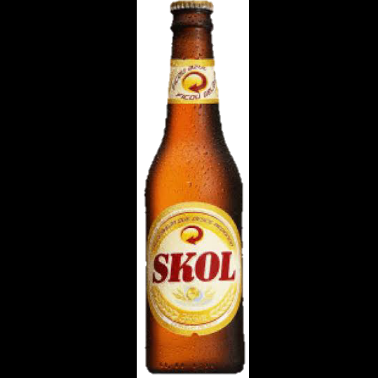 Cerveja Skol 600