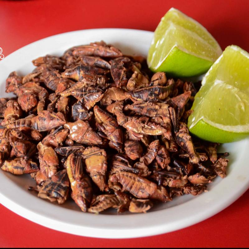 Chapulines enchilados