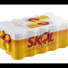Caixa Skol 269ml