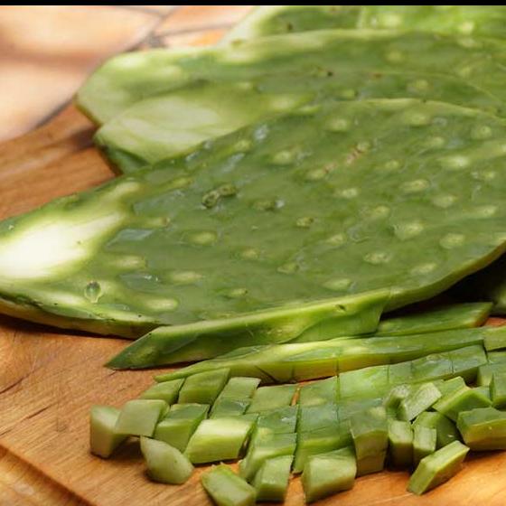 Nopal cambray