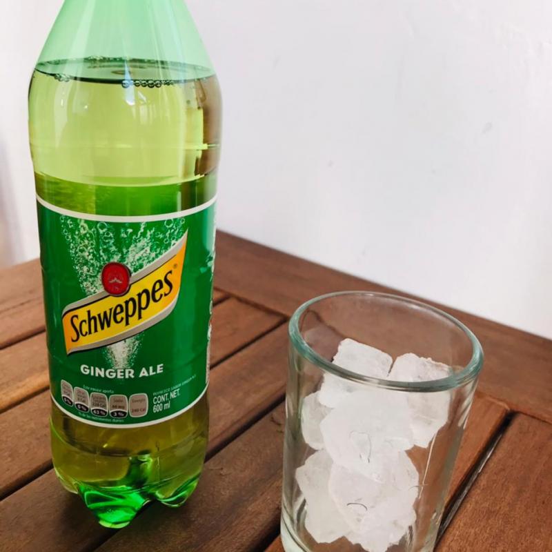 Refresco de toronja 600ml