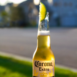 Corona 330ML
