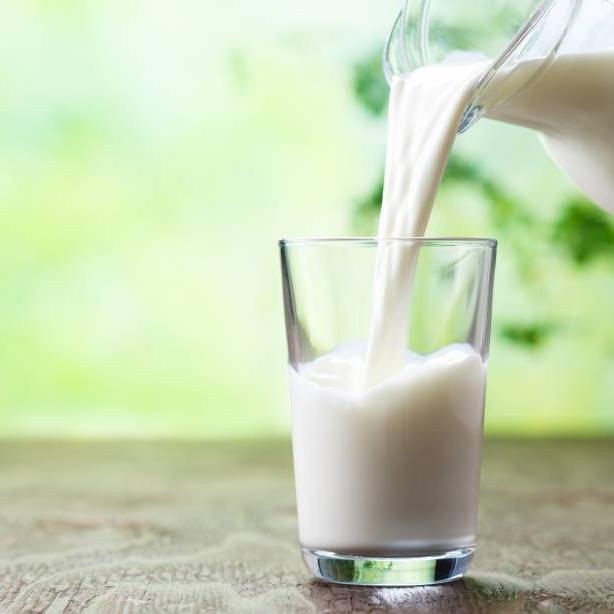 Leche
