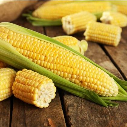 Elote Amarillo