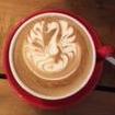 Mocaccino