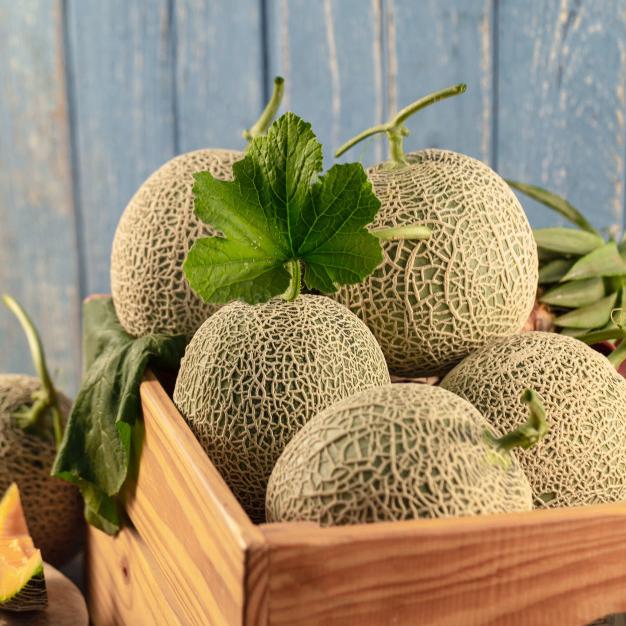Melon Chino