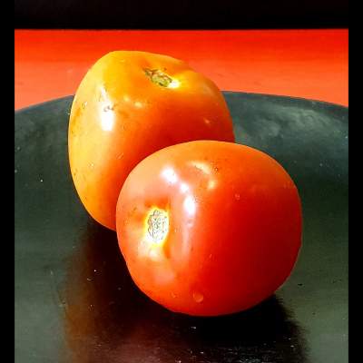Tomates Aliños