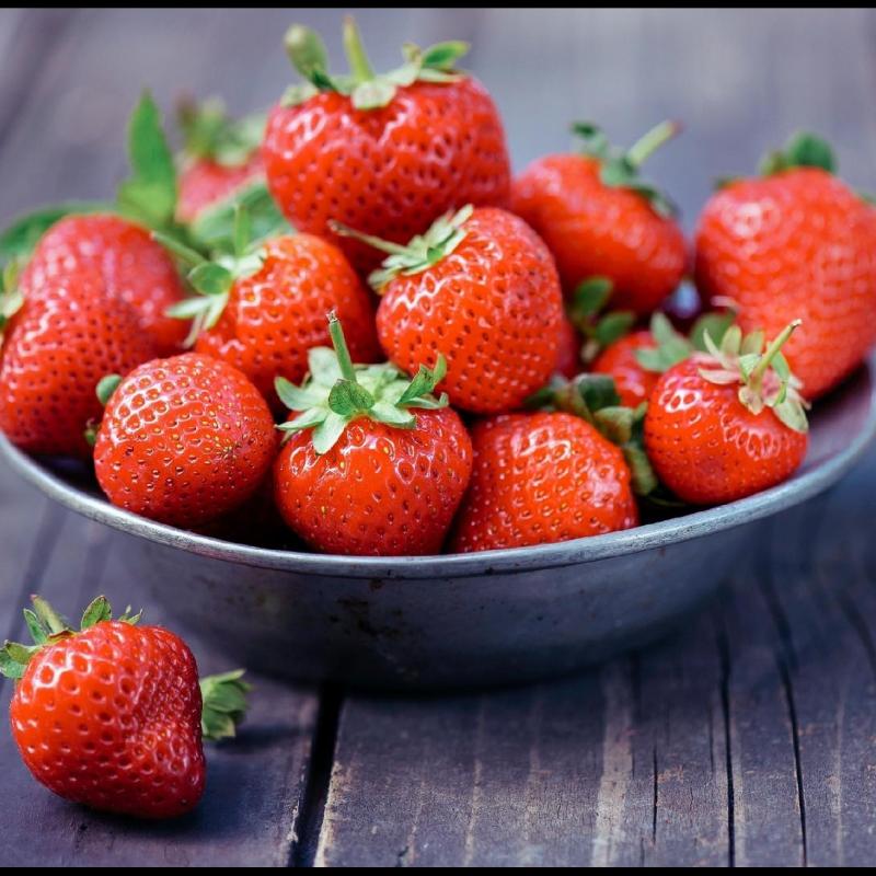 Morango