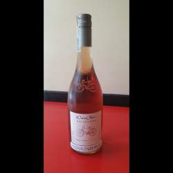 Pinot Noir Rosé 2019 (Cono Sur - Bicicleta) 750ml - Origen Chile