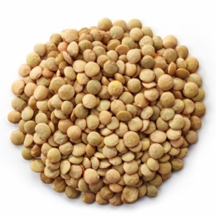 77 - Lentilha Canadense (100g)