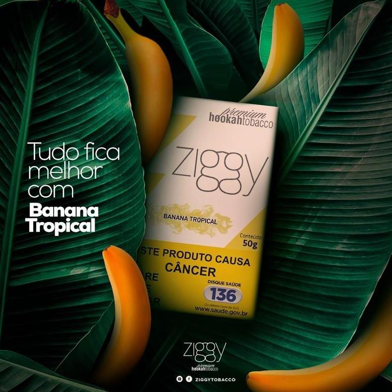 ZIGGY BANANA TROPICAL