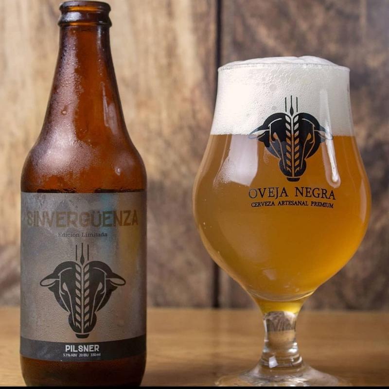 Sinvergüenza - Oveja Negra