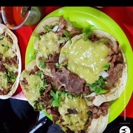 Orden de costilla