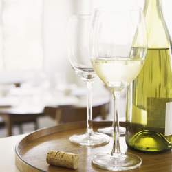 Copa de Vino Sauvignon Blanc