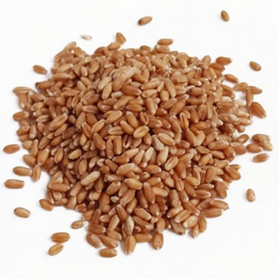 86 - Trigo em Grãos (100g)